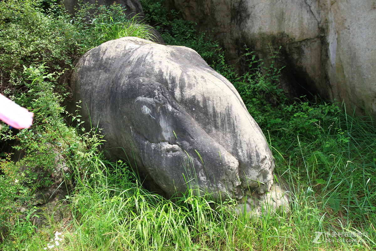 牛鼻洞探秘 图片直出