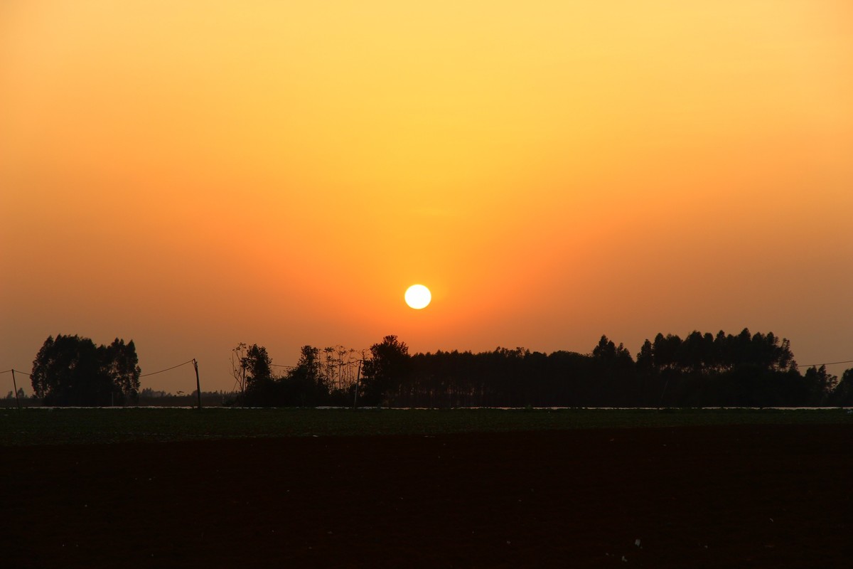 冬天傍晚----散步在南中国的田间地头