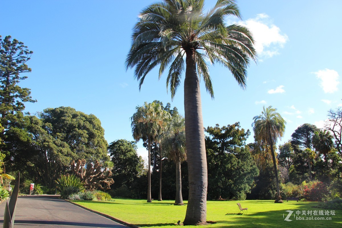 #佳能迷你单反EOS 200D 看见南腔北调#悉尼风光