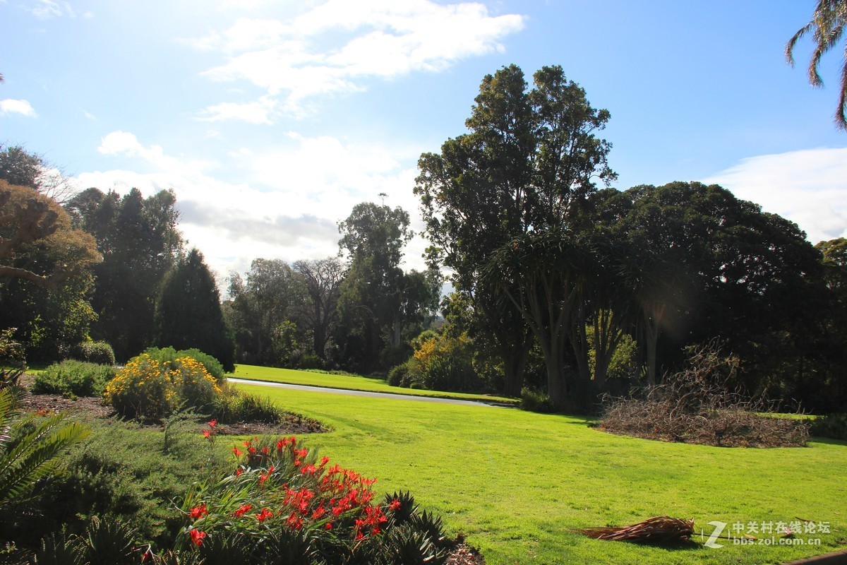 #佳能迷你单反EOS 200D 看见南腔北调#悉尼风光