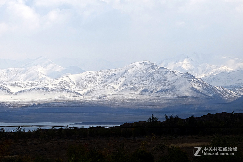 【胡天八月即飞雪】