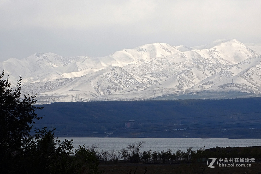 【胡天八月即飞雪】