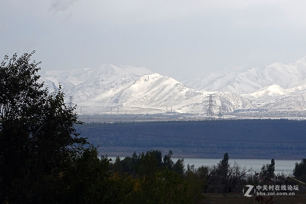 【胡天八月即飞雪】