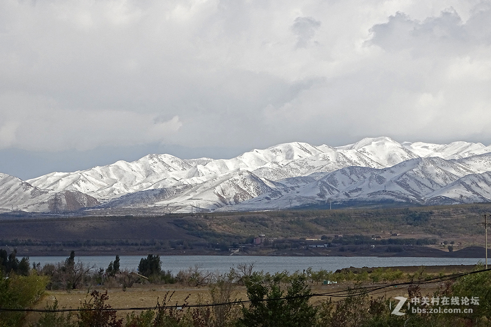 【胡天八月即飞雪】