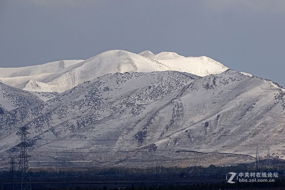 【胡天八月即飞雪】