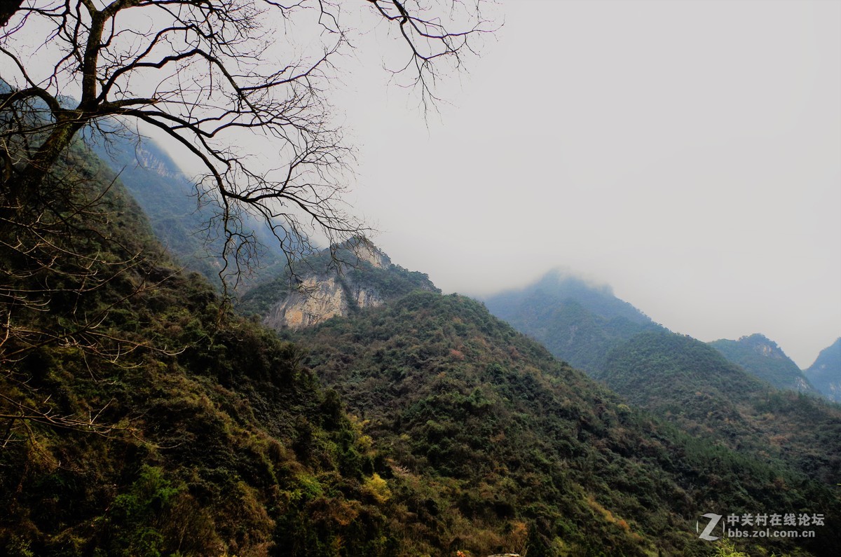 神农架下小休息站