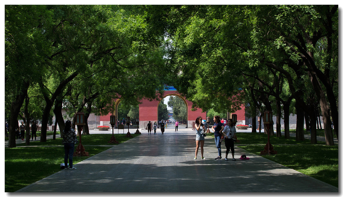 天坛公园林荫大道（2017）