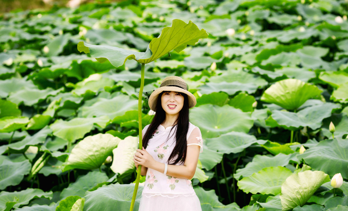 但捧莲果沁人心