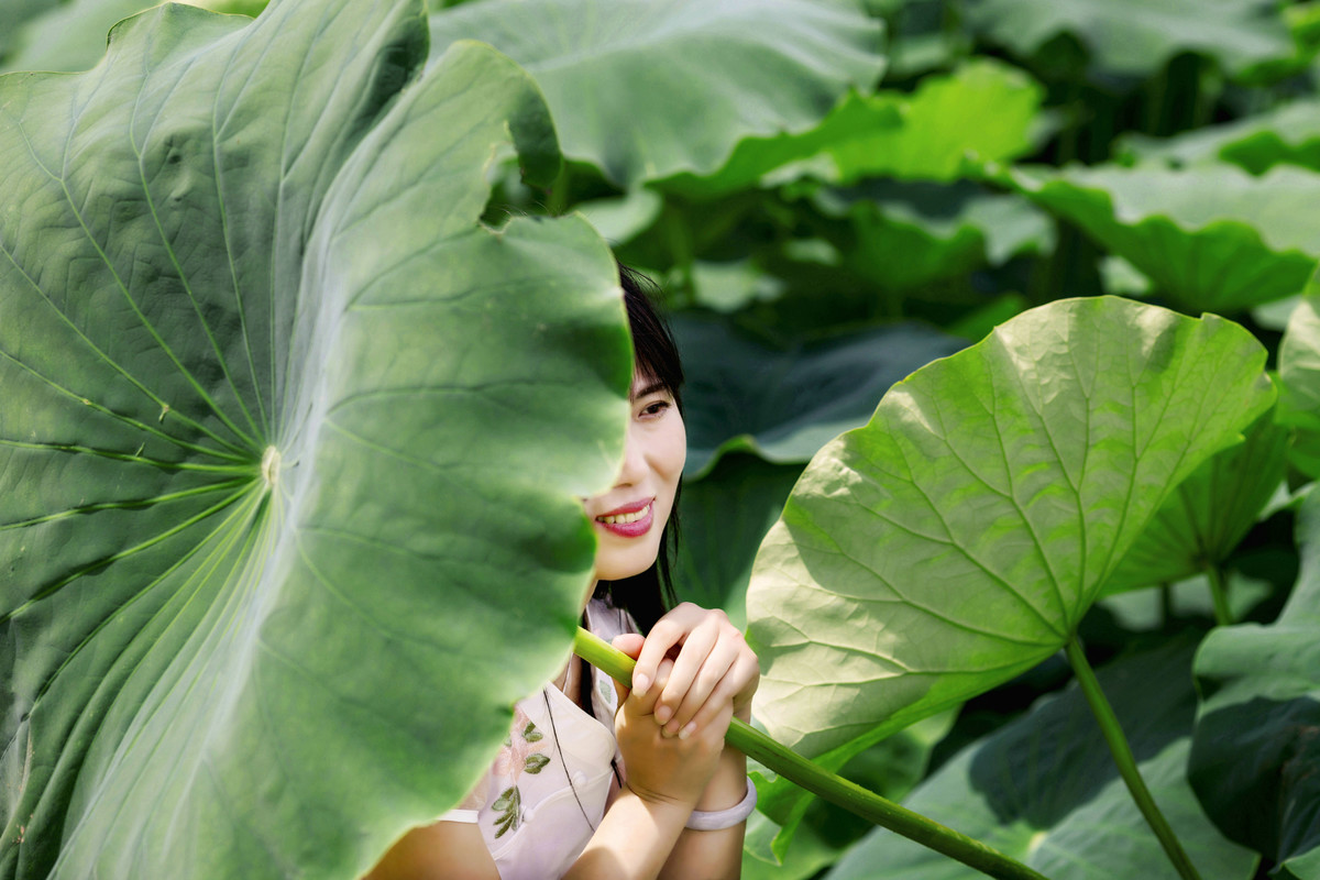 但捧莲果沁人心