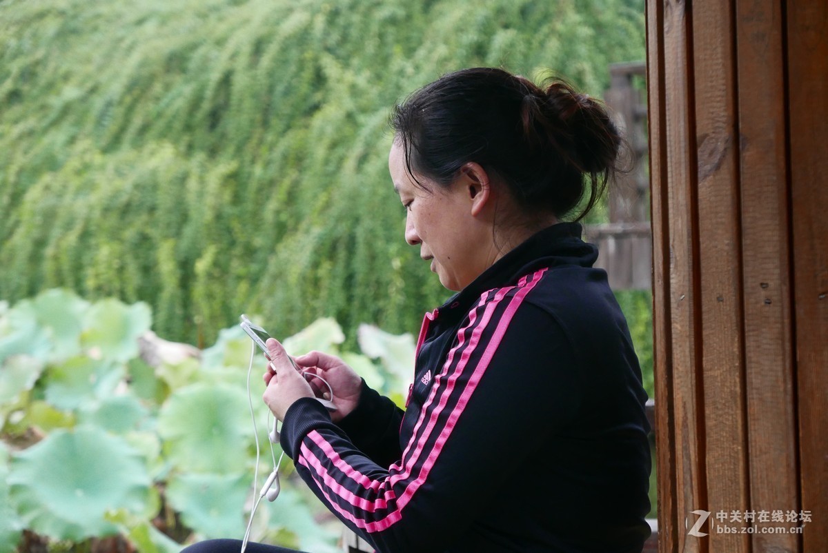 雨中残荷有人拍