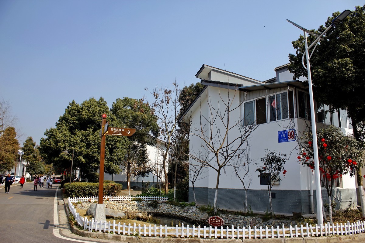 总书记视察过的村庄--战旗村