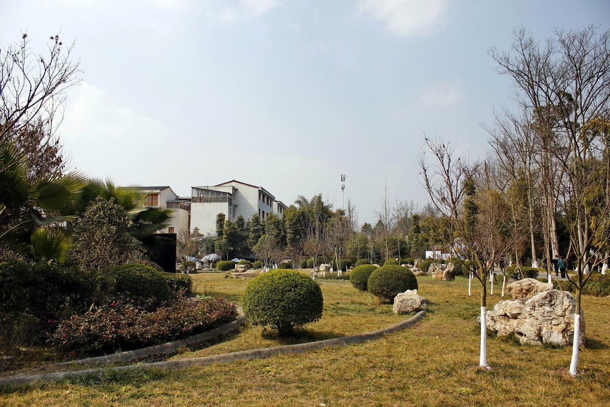 总书记视察过的村庄--战旗村