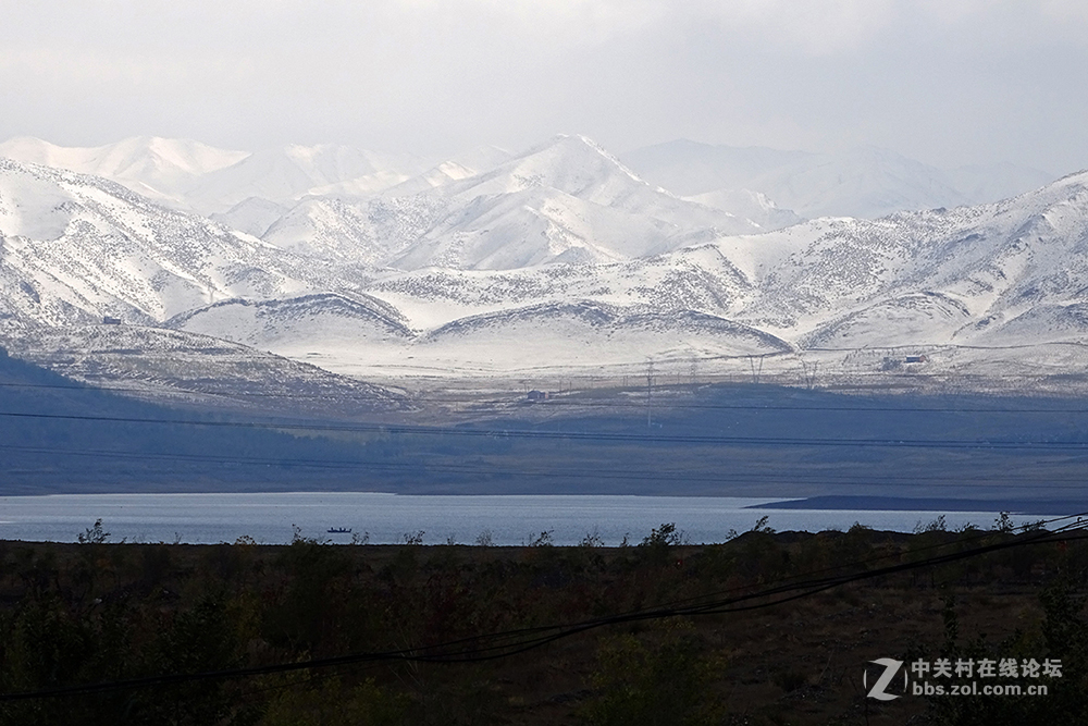 【胡天八月即飞雪】