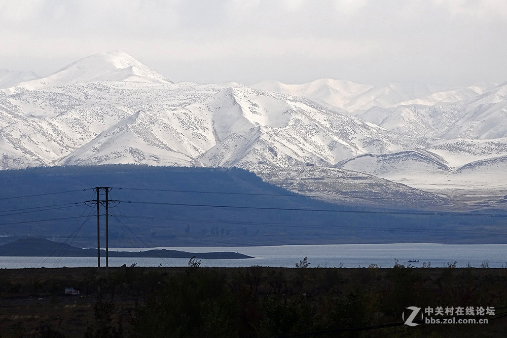【胡天八月即飞雪】