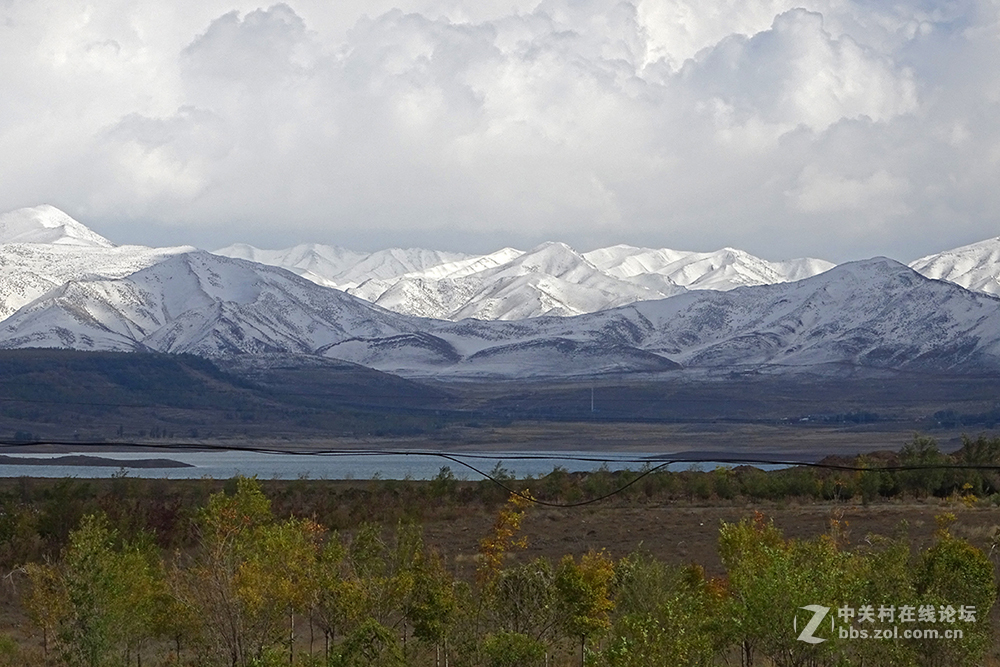 【胡天八月即飞雪】