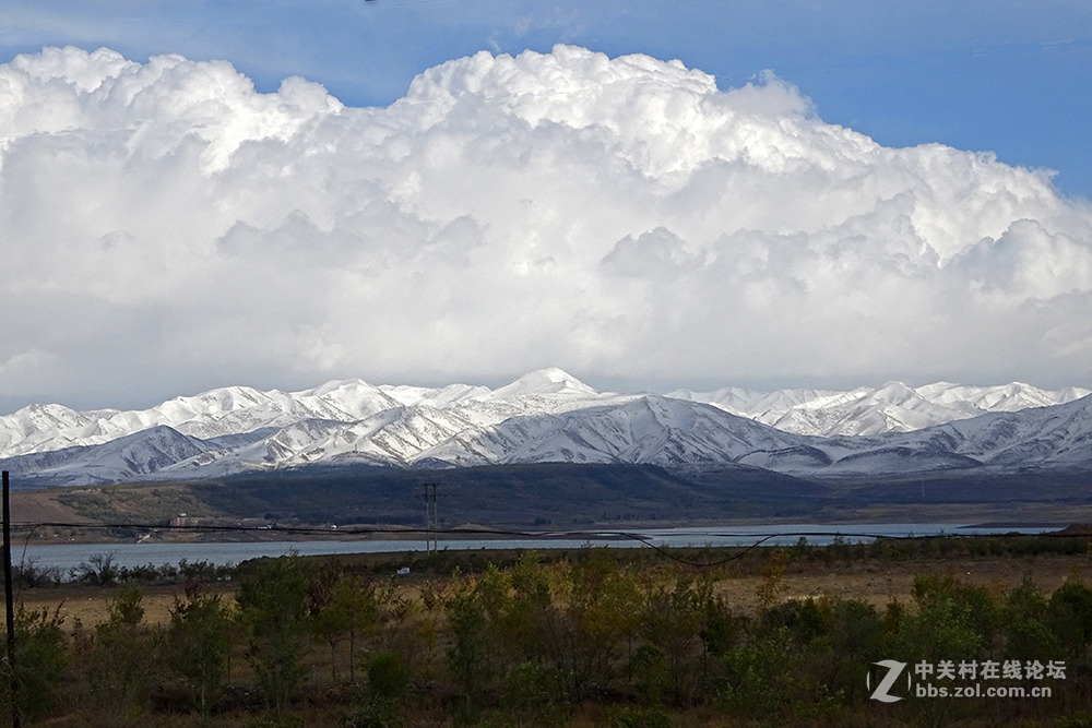 【胡天八月即飞雪】