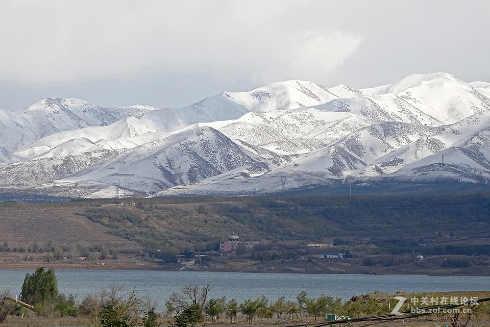 【胡天八月即飞雪】