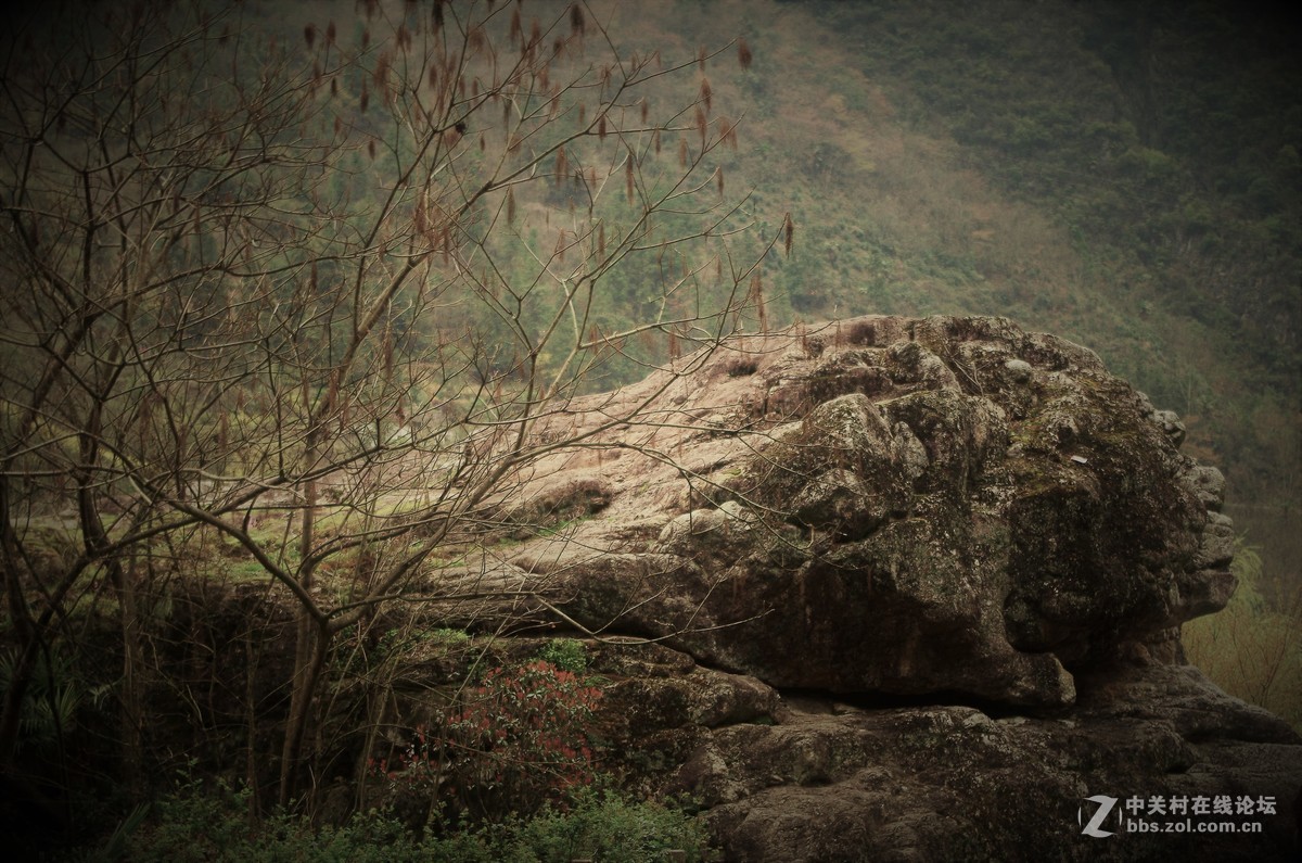 神农架下小休息站