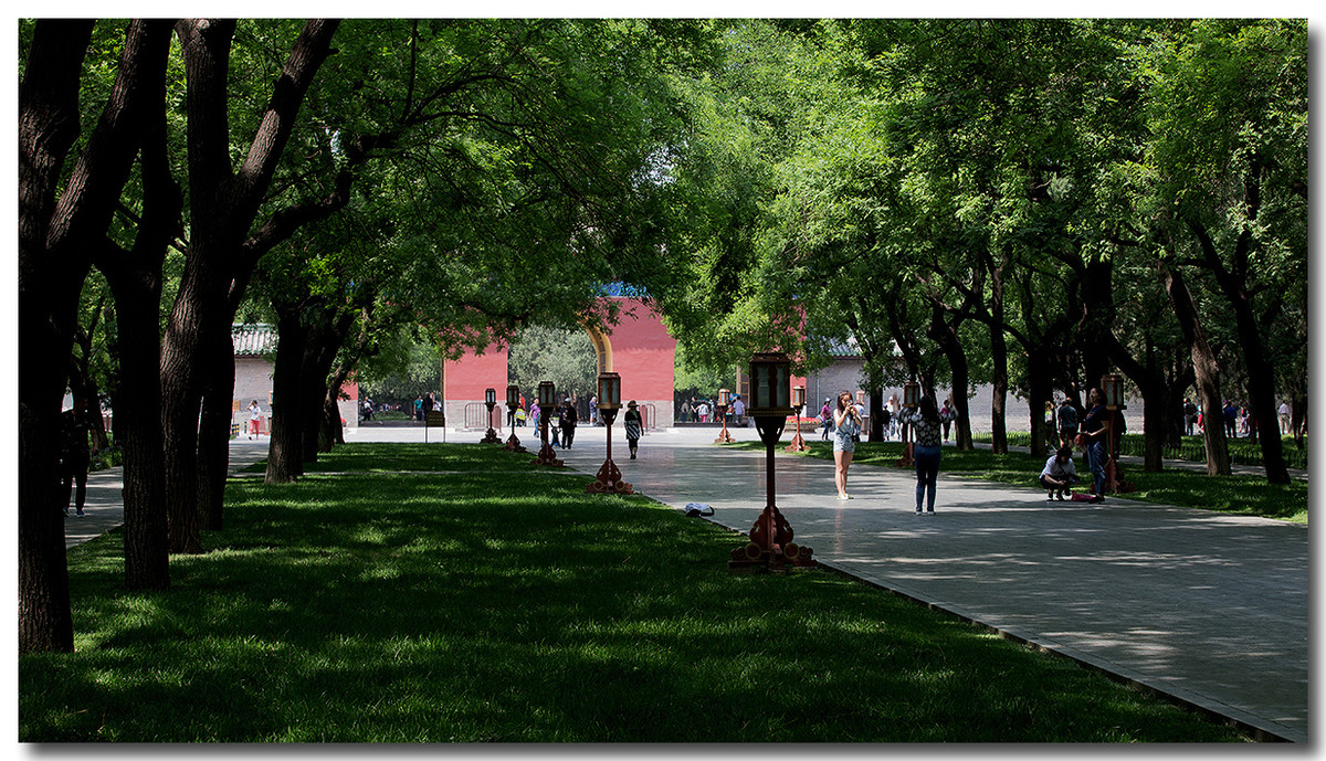 天坛公园林荫大道（2017）