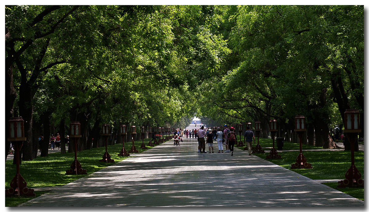 天坛公园林荫大道（2017）