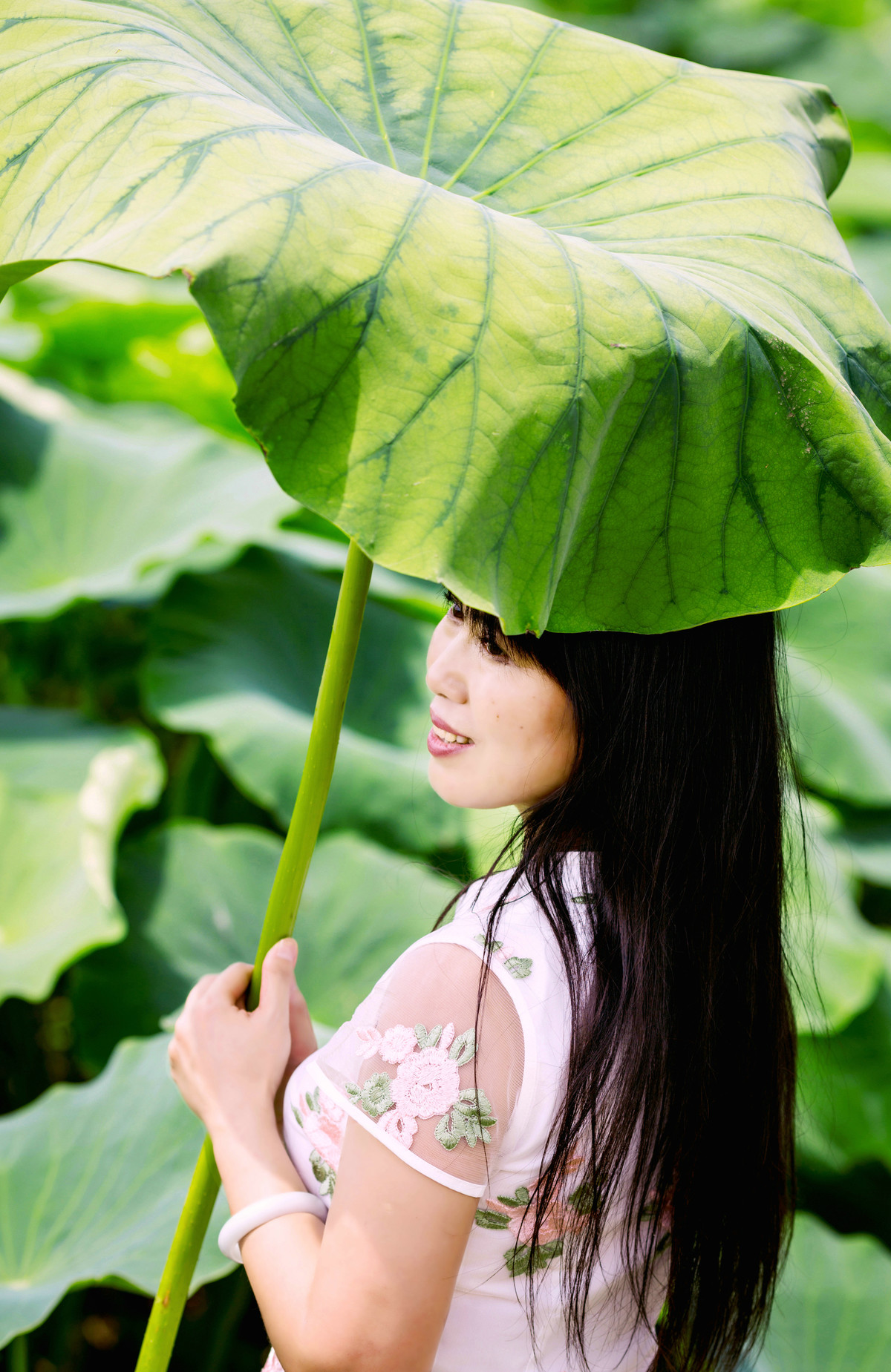 但捧莲果沁人心