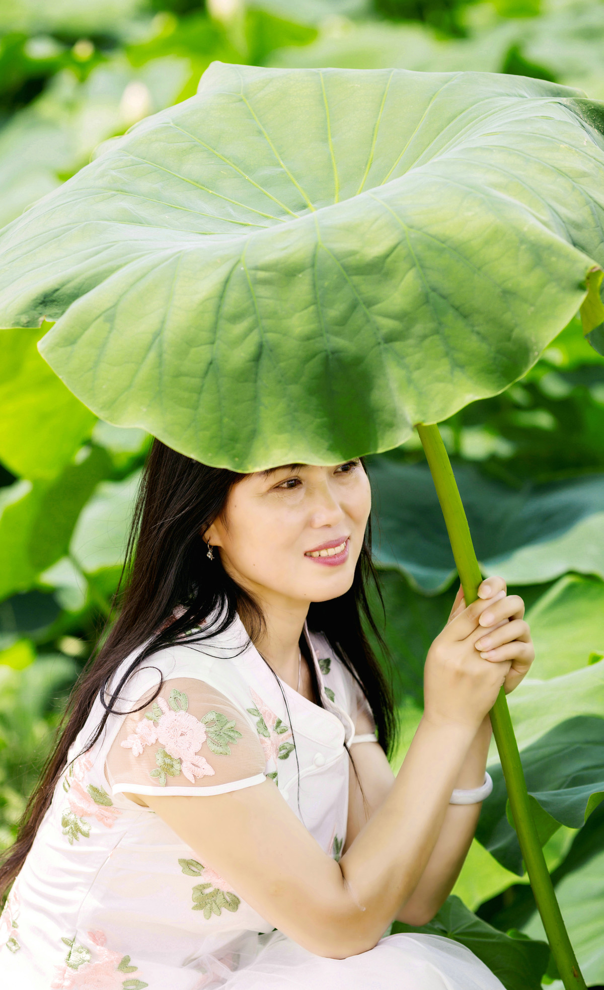 但捧莲果沁人心