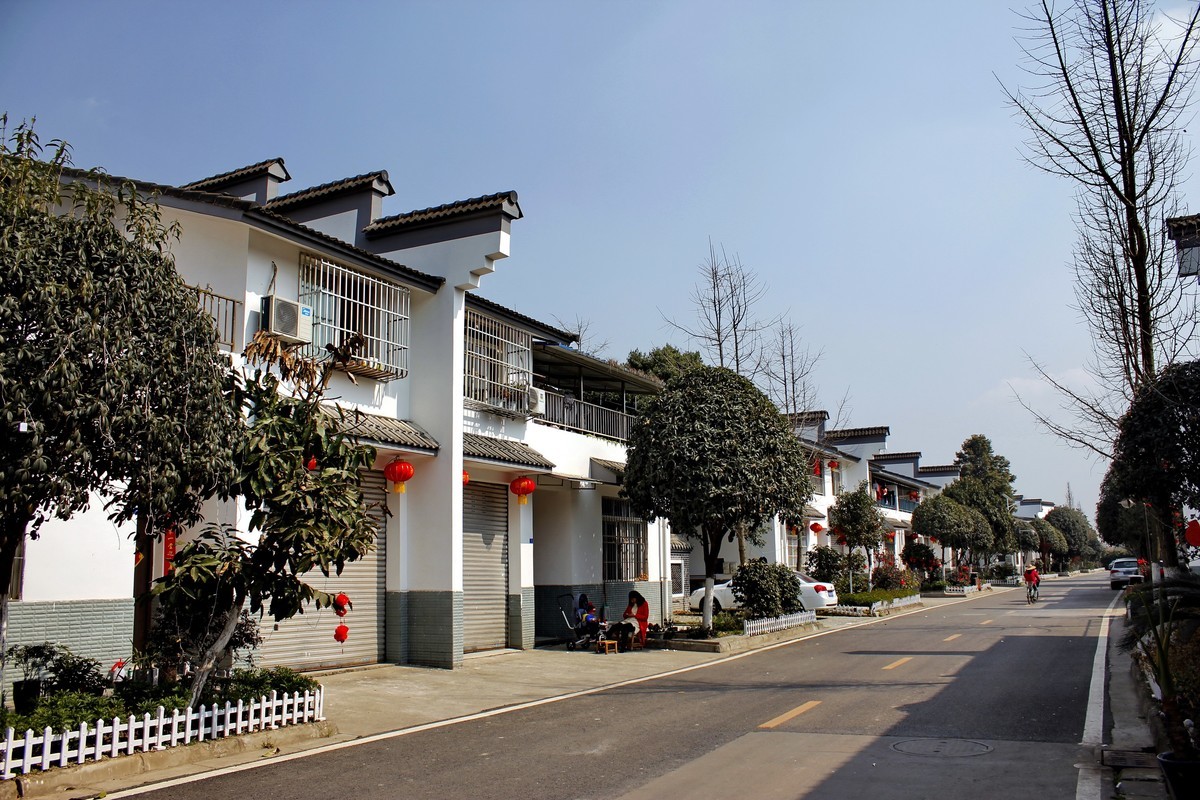 总书记视察过的村庄--战旗村