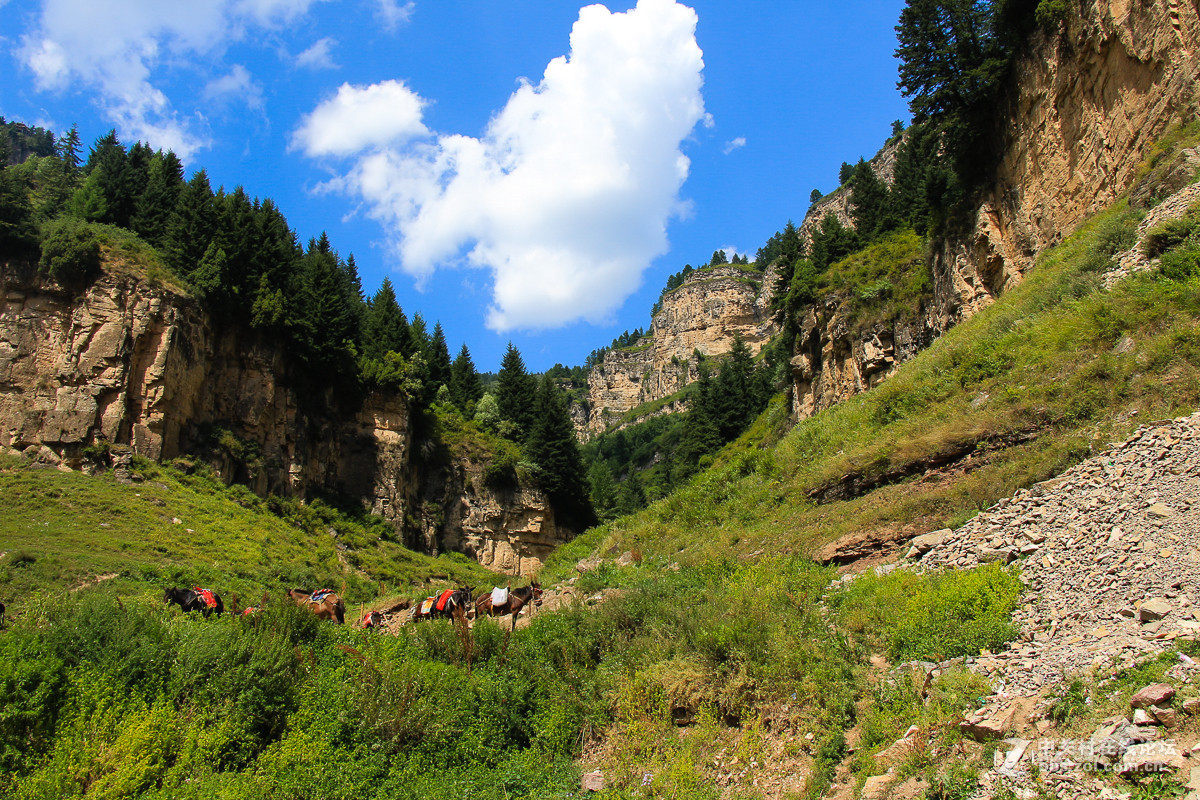 一组山西宁武悬空栈道，祝贺红河星空(中国)开坛！恭喜华电昆明人荣任首任版主！