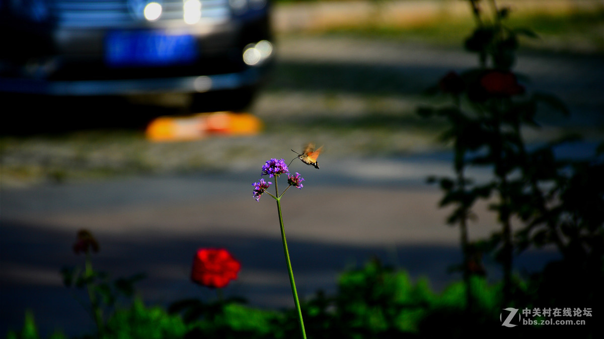 好久没有拍，感觉手生了