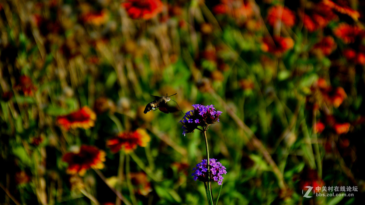 好久没有拍，感觉手生了