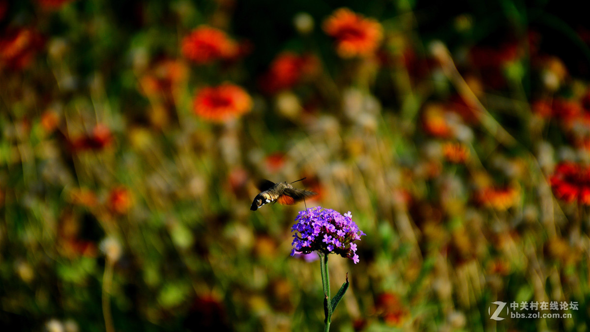 好久没有拍，感觉手生了