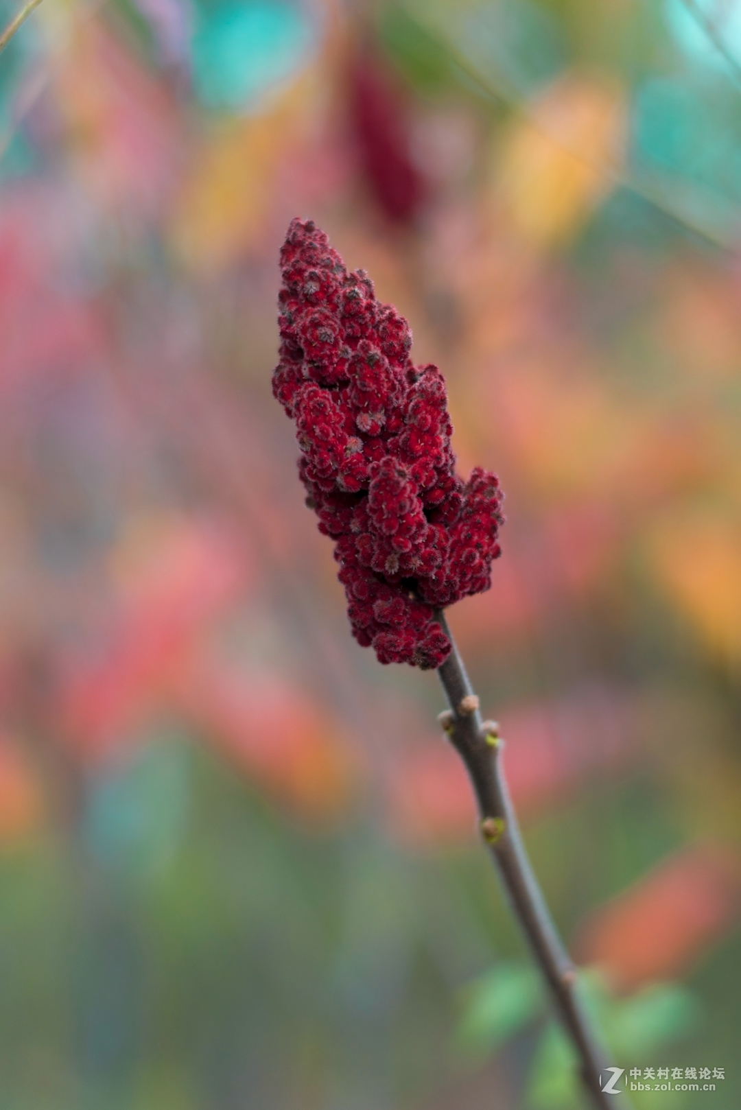 尼康夜之眼 58mm f1.4各种场景实拍，大家来讨论下这个镜头