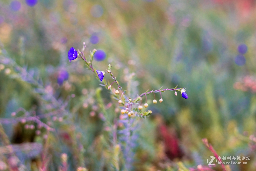 尼康夜之眼 58mm f1.4各种场景实拍，大家来讨论下这个镜头