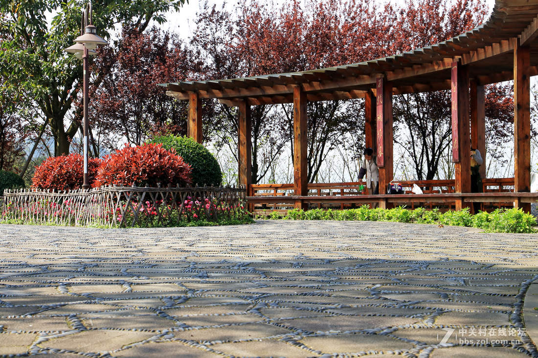 重庆 鼎山公园