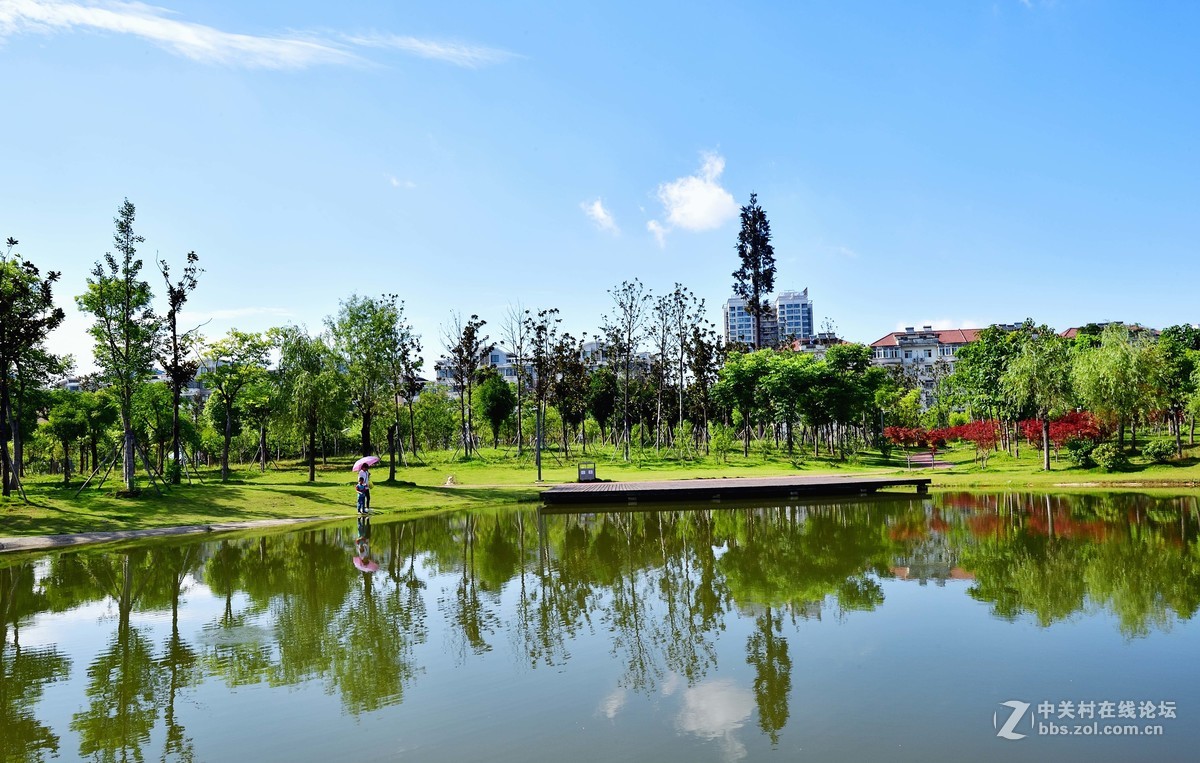 都 市 的 蓝 天