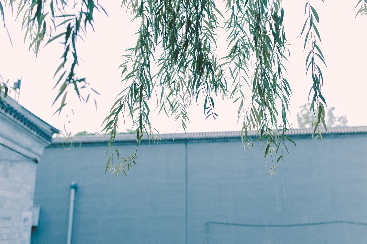 #佳能月赛-最可爱的人# 北京妞