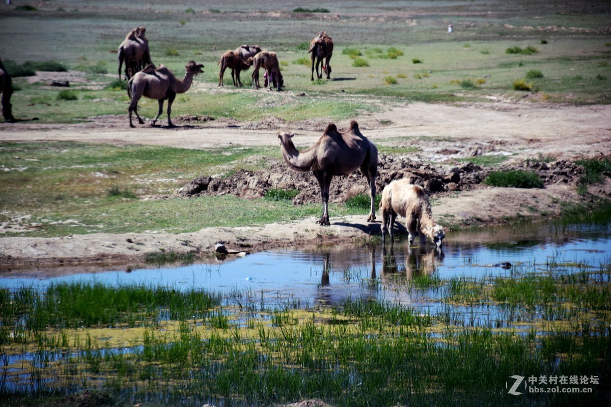 #版主坐堂#2017年8月份《承德》优秀作品选辑