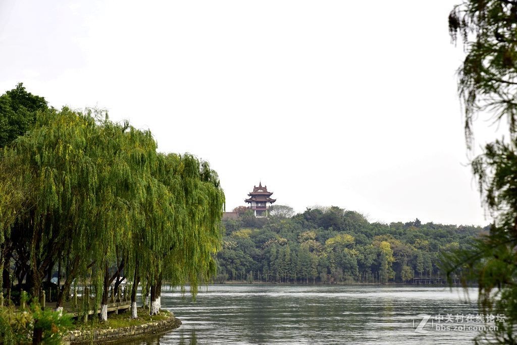 出差路过天目湖