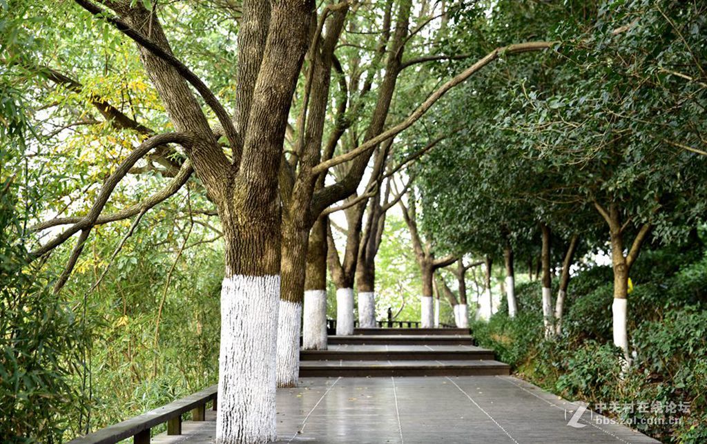 出差路过天目湖