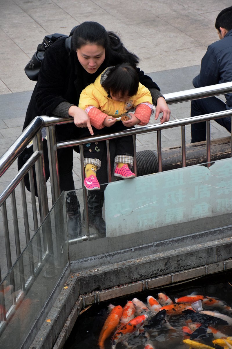 2018春节 闽粤赣（11）龙老五