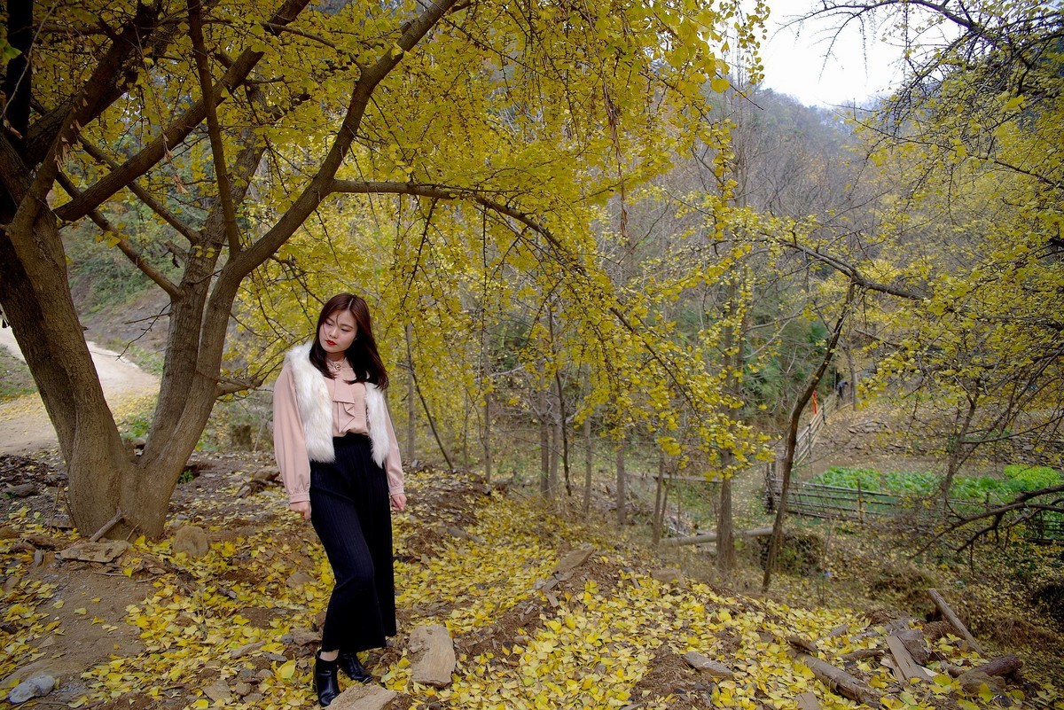 环境人像外拍---银杏树下的快乐女孩！。。。。。。。