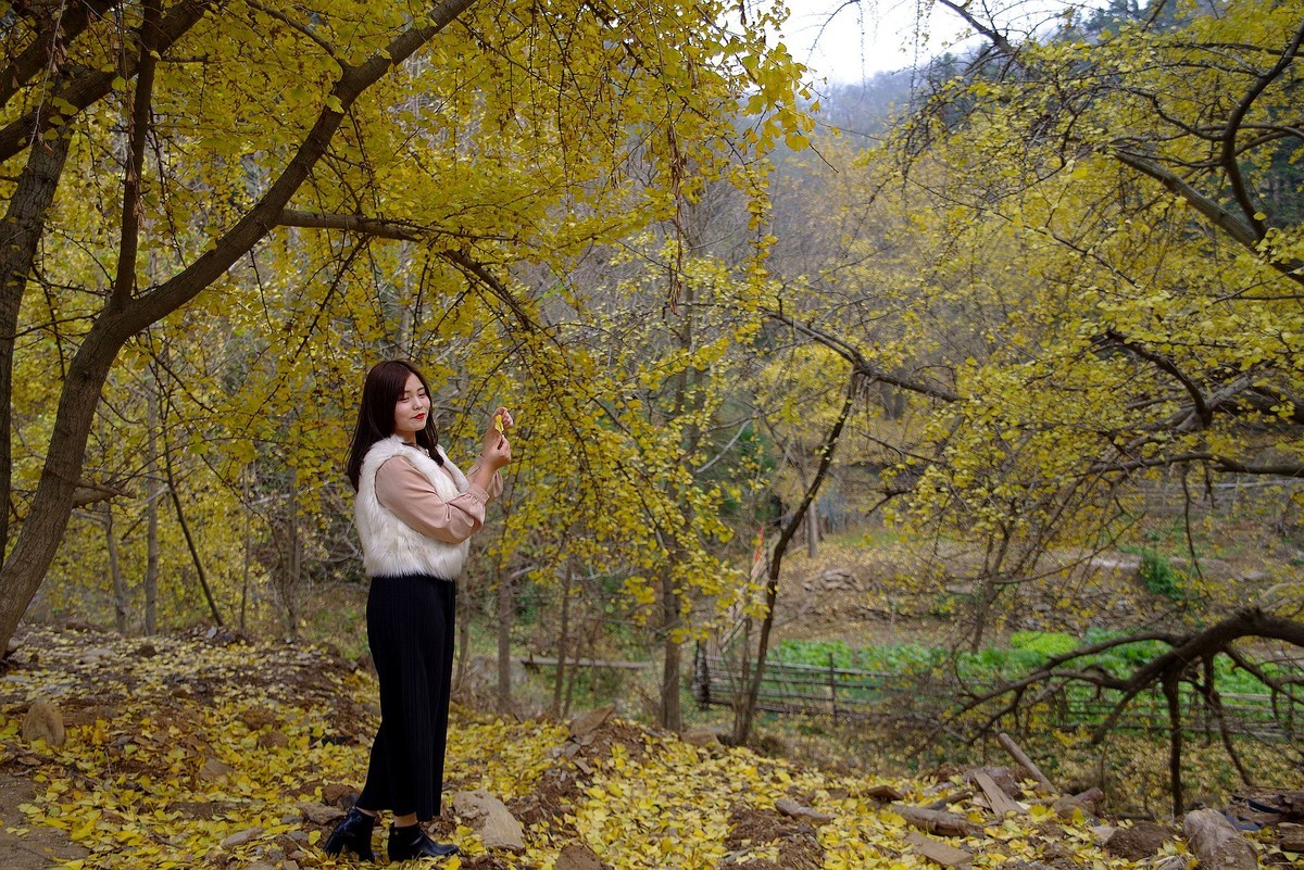 环境人像外拍---银杏树下的快乐女孩！。。。。。。。