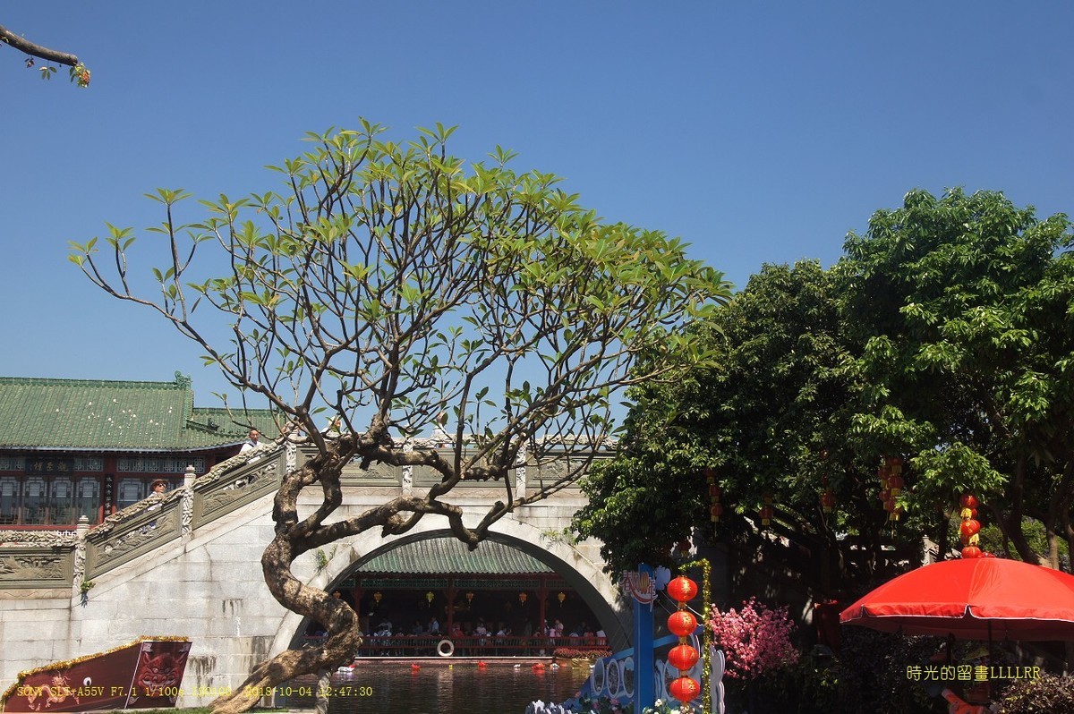 行拍 宝墨园 (3)