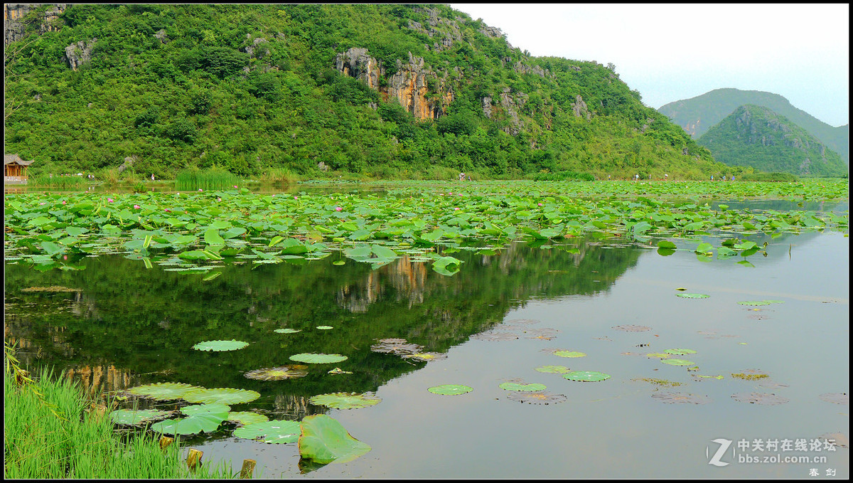 旅途之景—普者黑（4）