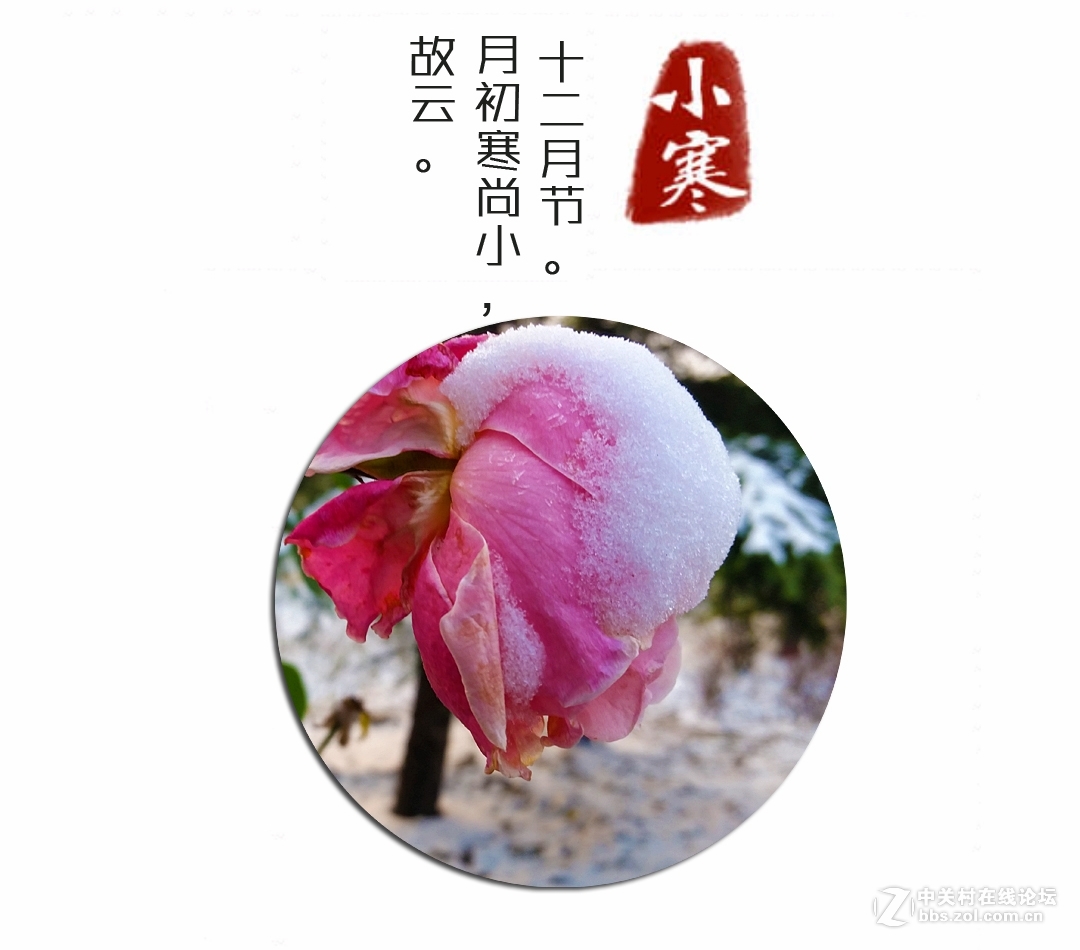 小寒时节