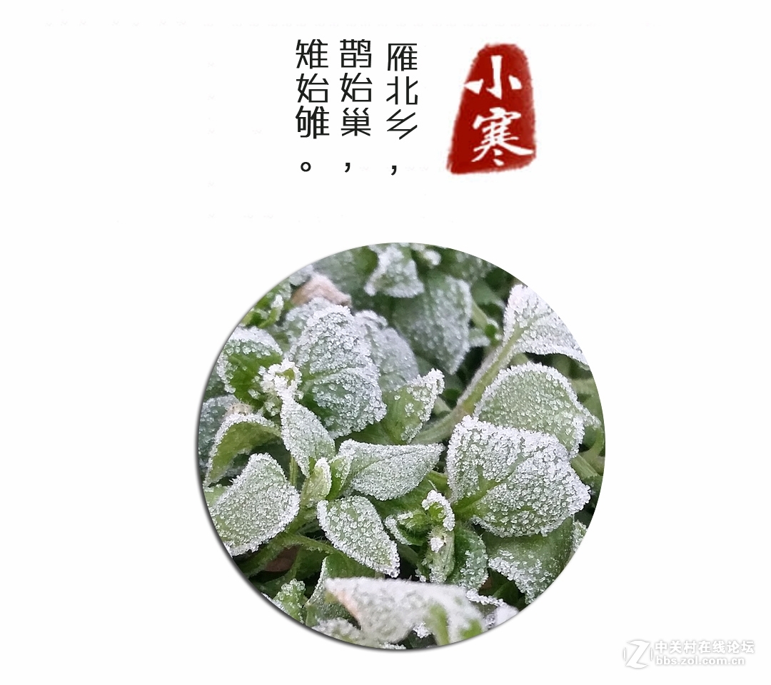 小寒时节