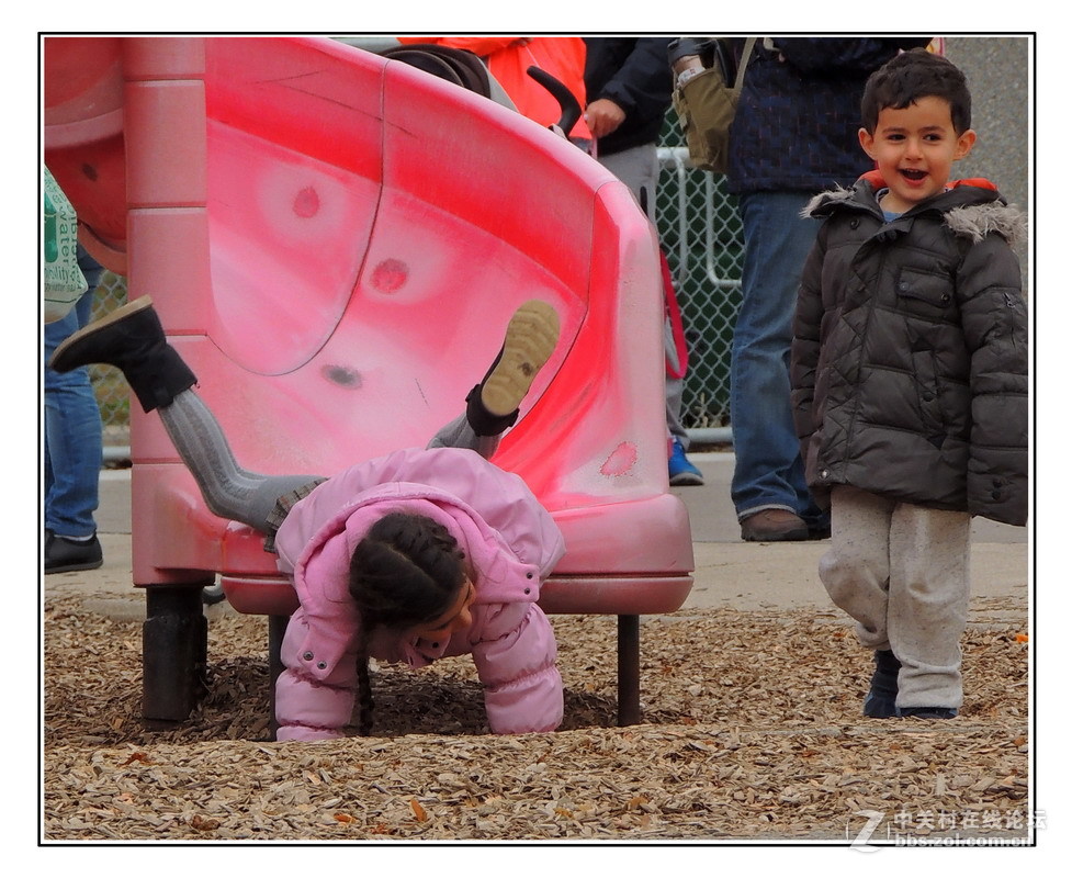 多伦多掠影（32）____（庆六一）．