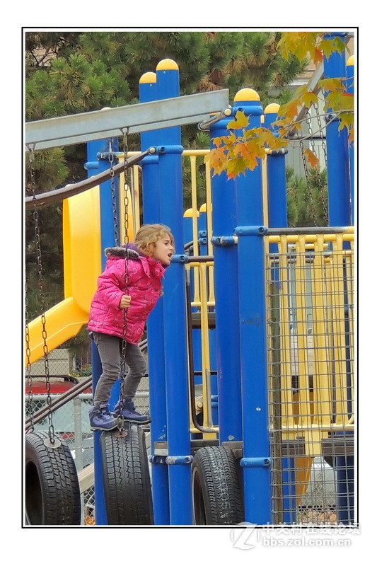 多伦多掠影（32）____（庆六一）．