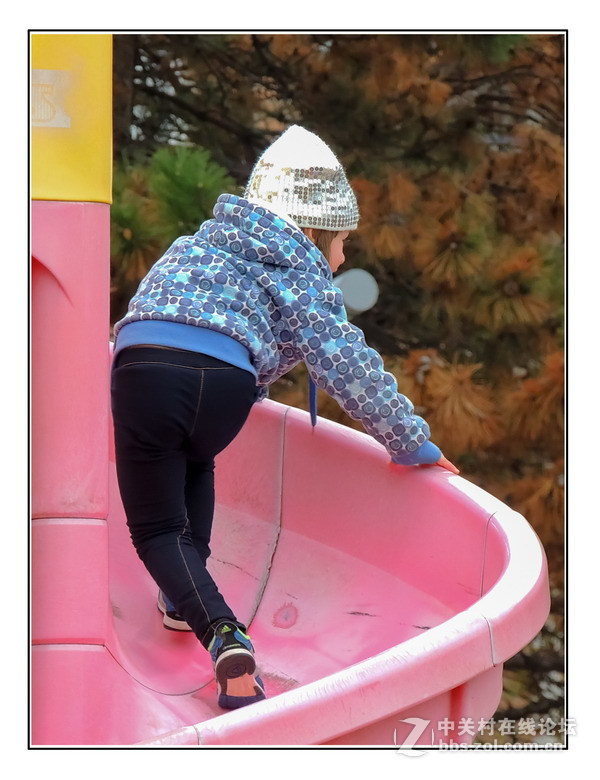 多伦多掠影（32）____（庆六一）．