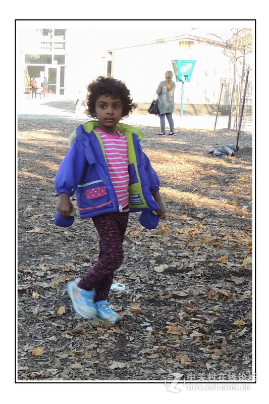 多伦多掠影（32）____（庆六一）．